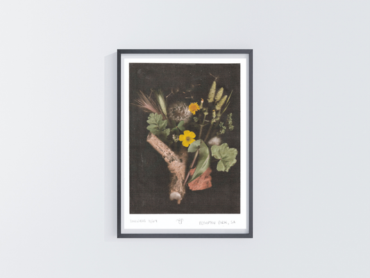 Botanical Art Print - Custom Artwork Service