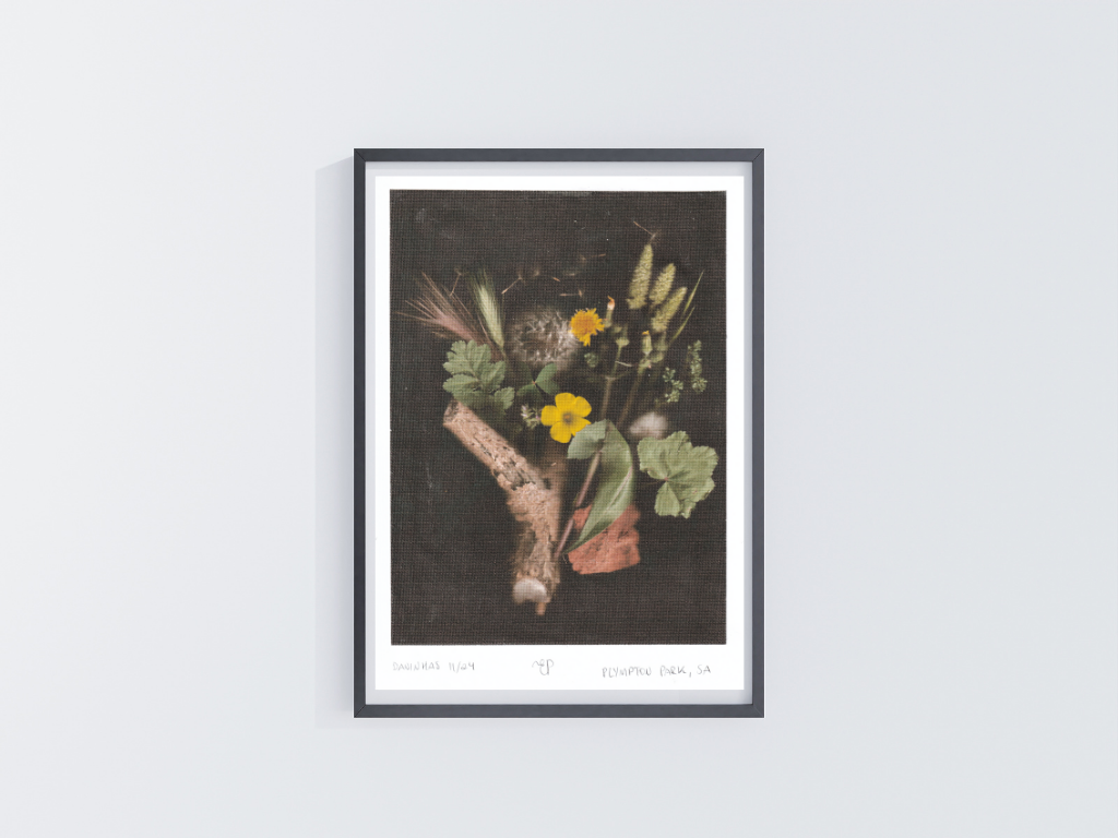 Botanical Art Print - Custom Artwork Service